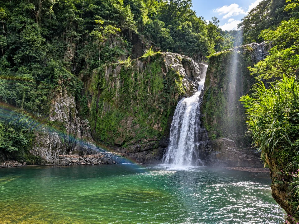Waterfall falling into a turquoise pool surrounded by greenery.