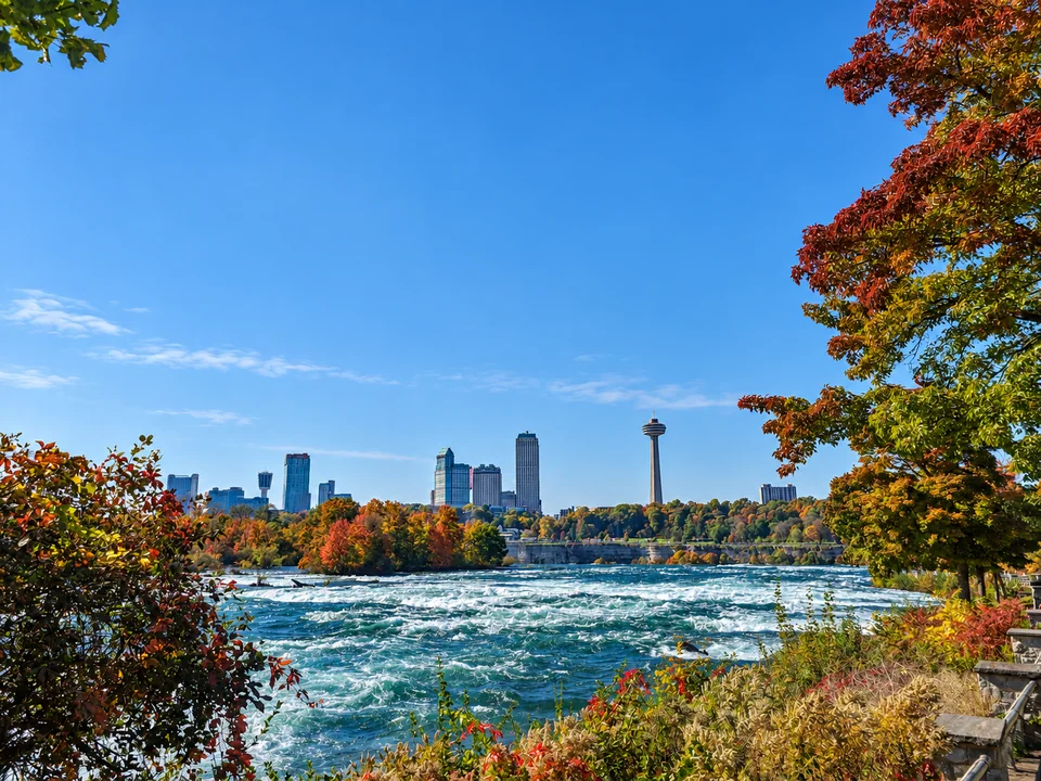 Buildings on the far side of a river, framed by branches.