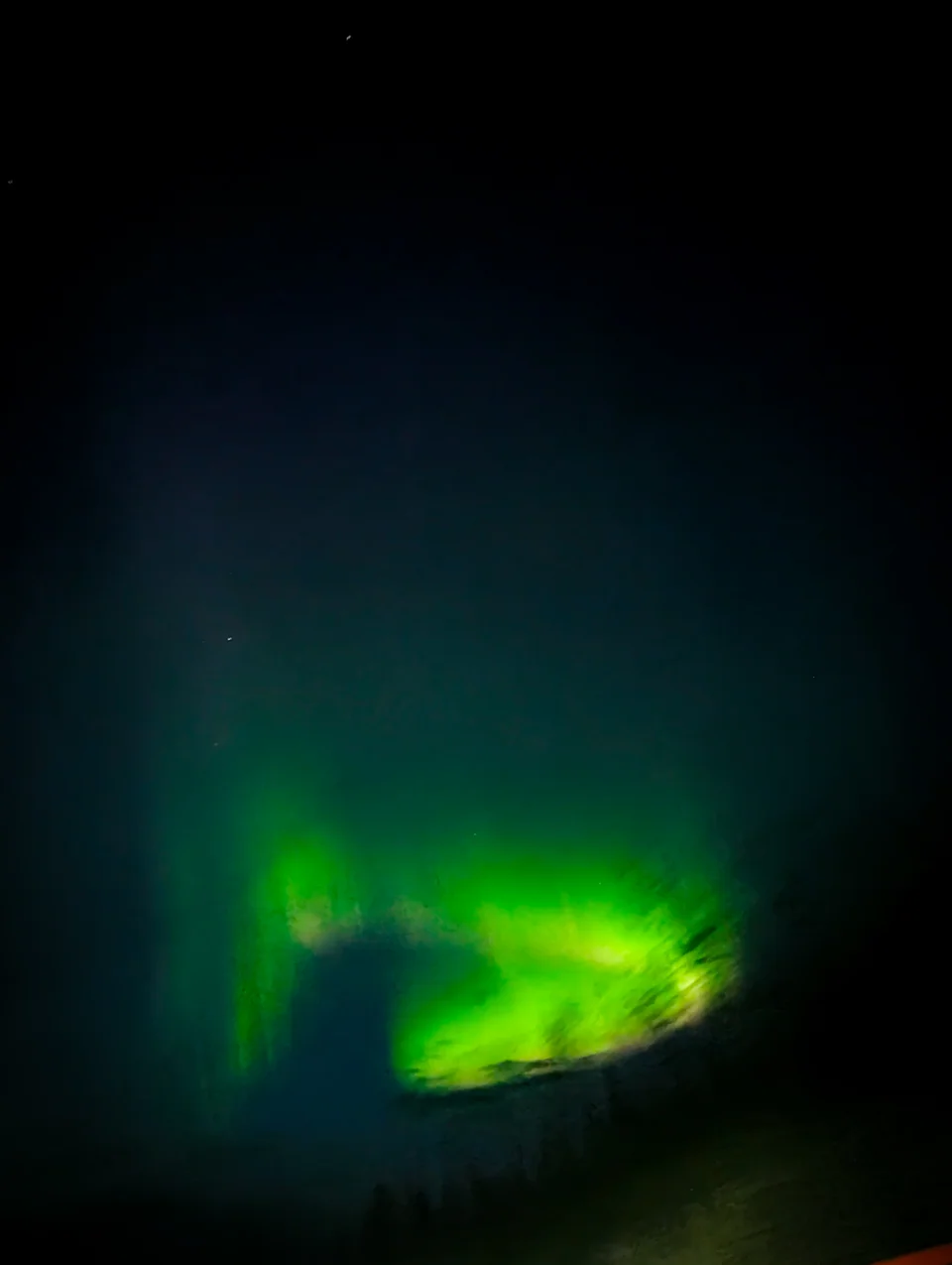 Green aurora over the dark silhouette of a forest.