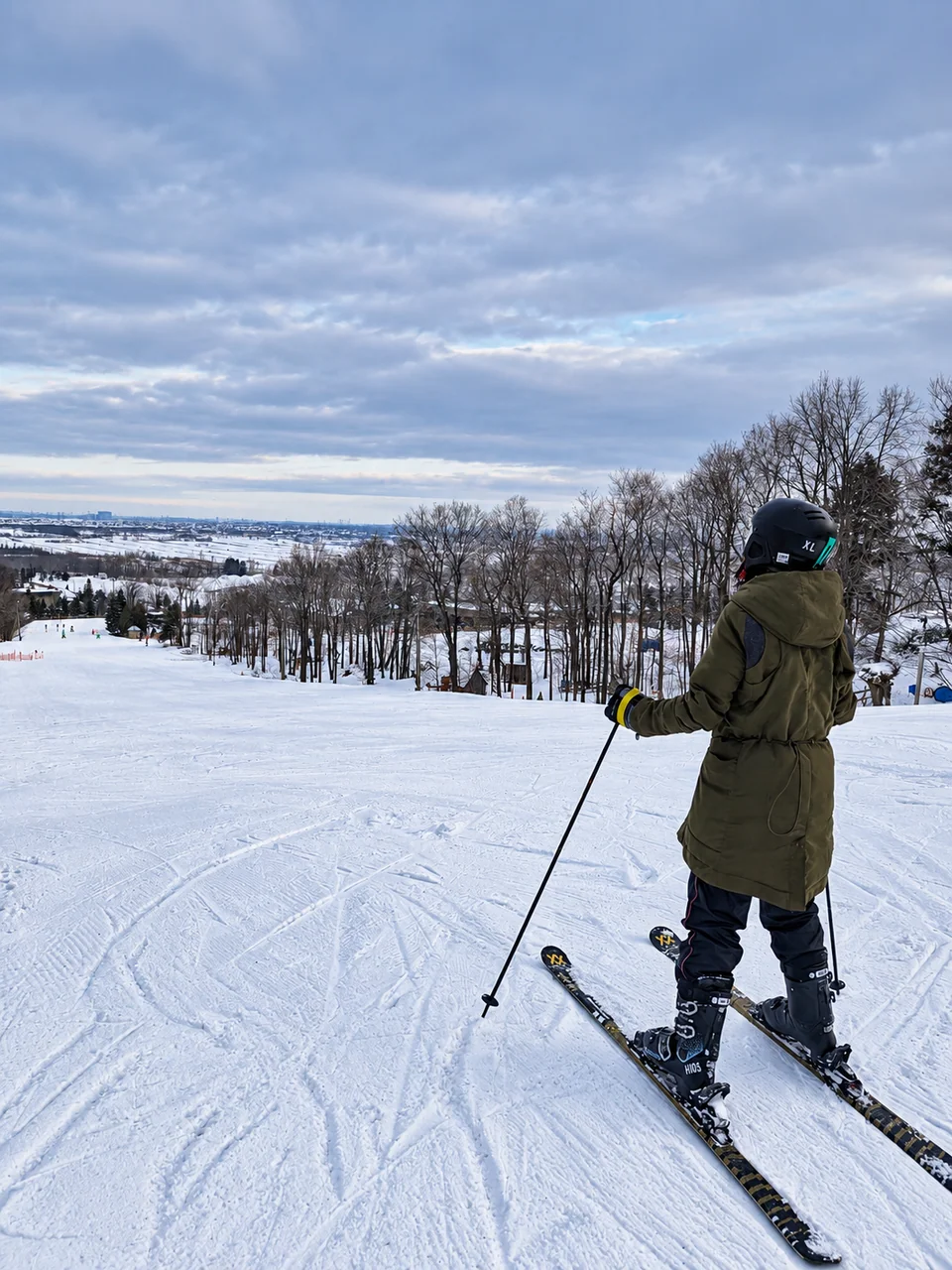 A person skiing, seen from behind, on a snowy slope with bare trees behind.