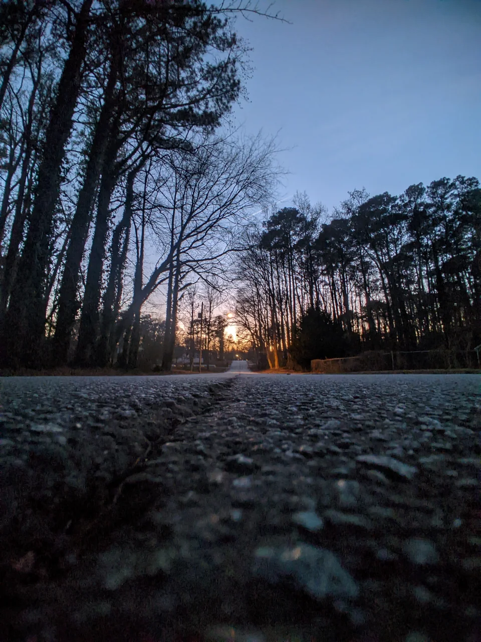 Asphalt road seen from ground level toward bare trees and the last sun.