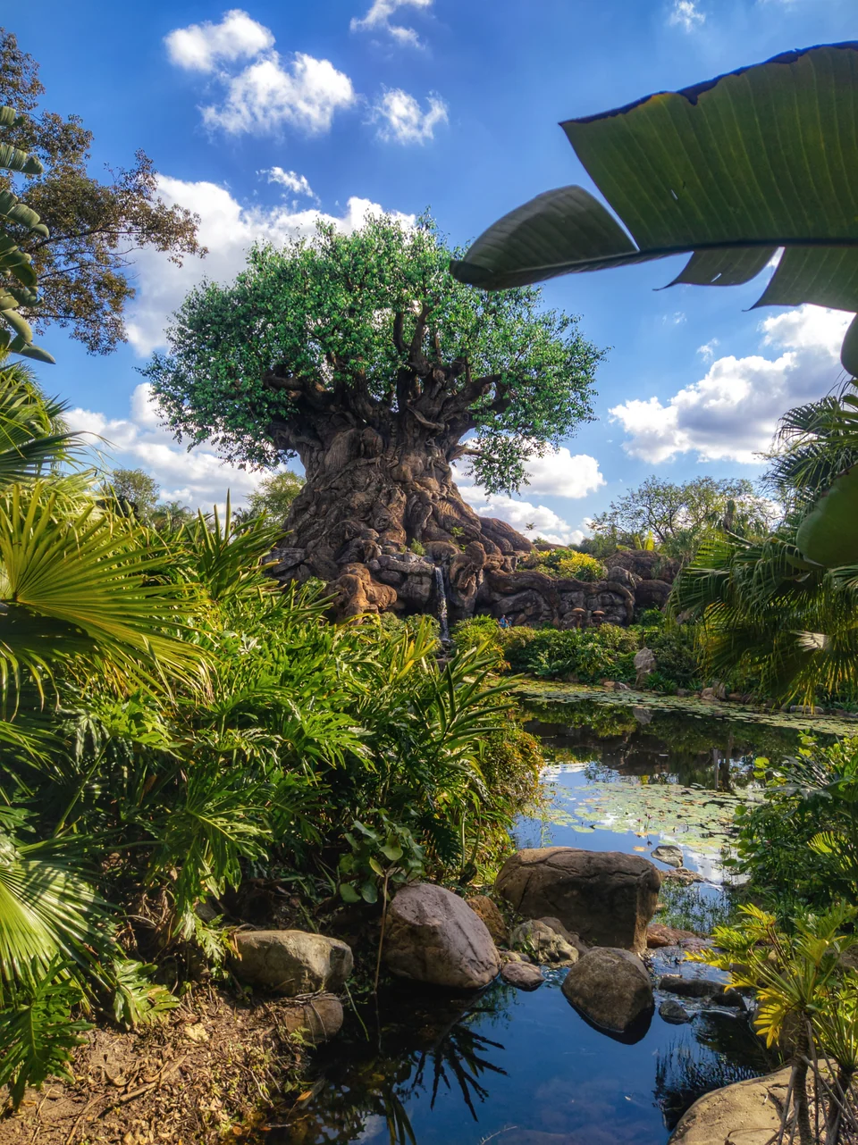 A large carved-trunk tree reflected in a pond surrounded by palm trees.