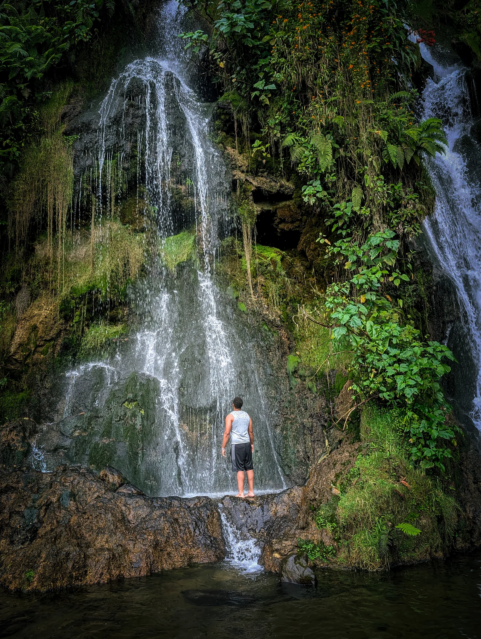 A person at the foot of a large waterfall covered in greenery