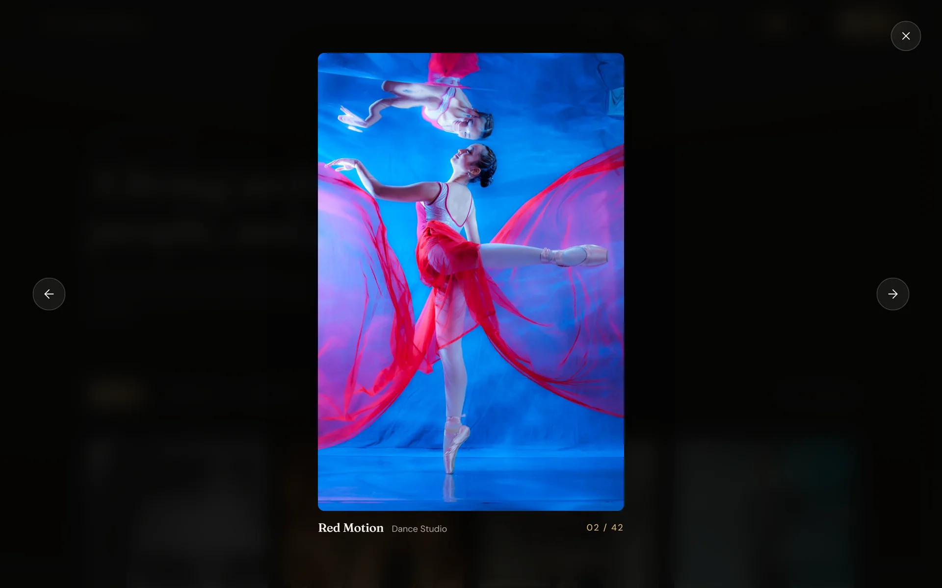 Full-screen viewer with the Red Motion photo, its title and the 02 of 42 counter